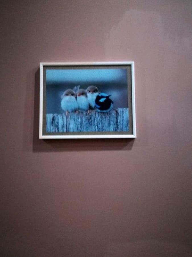 Birdhome In Tbilisi Exterior foto